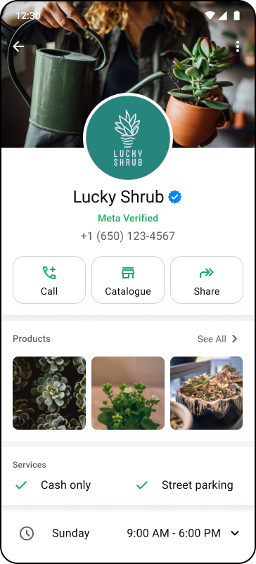Spruce के Instagram विज्ञापन का स्क्रीनशॉट