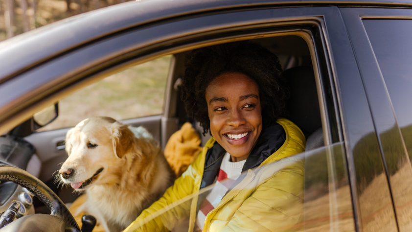 Une personne conduisant sur un terrain de camping avec un golden retriever sur la place passager