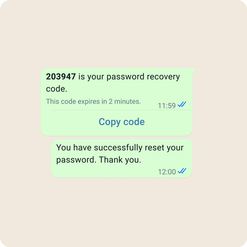 An example of account recovery in WhatsApp Business