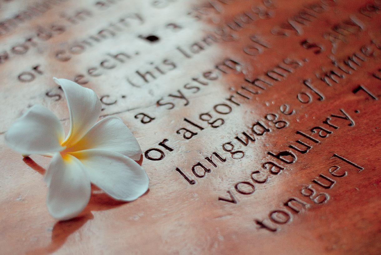 The open page of a book.