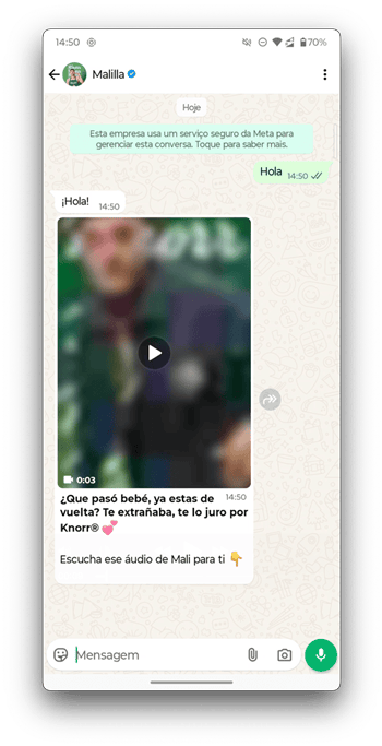 Knorr Mexico and El Malilla conversation using marketing messages