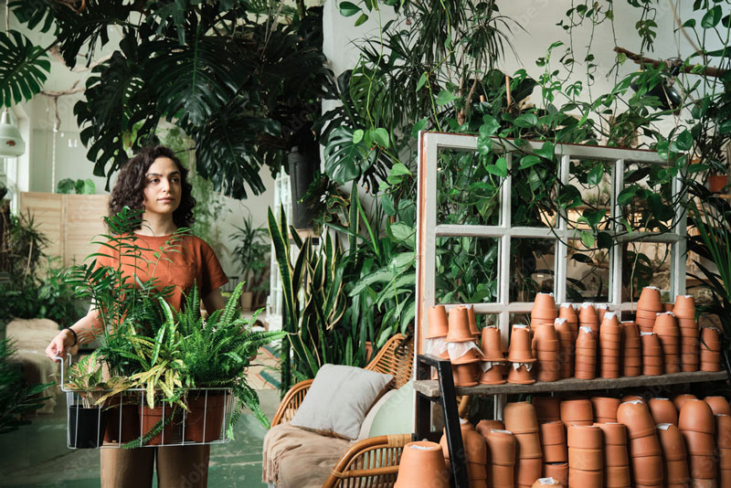A woman holding a basket of plants