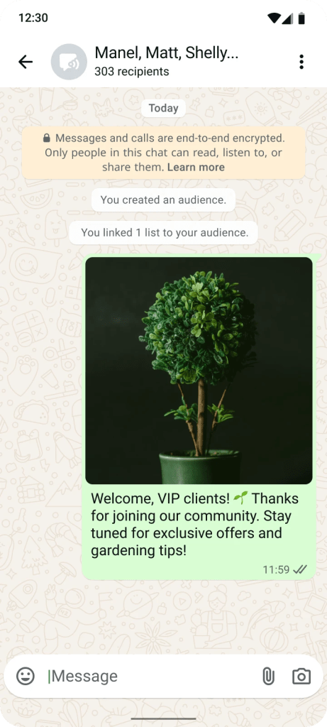 Example of a business using a broadcast to send messages to customers in WhatsApp
