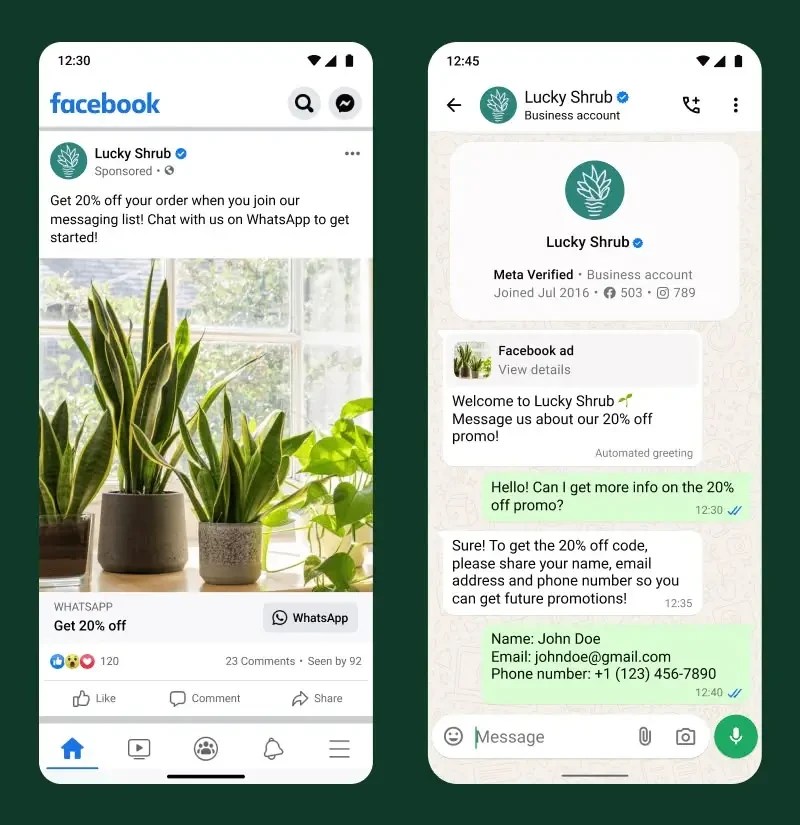 Lucky Shrub messages to get leads through WhatsApp